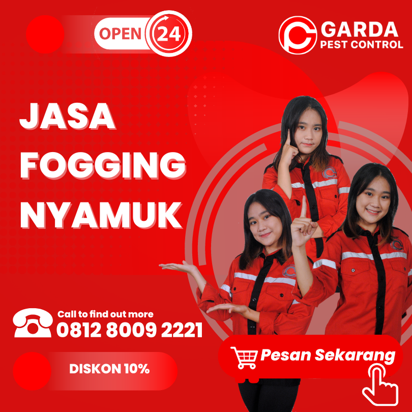 Jasa Fogging BSD Tangerang