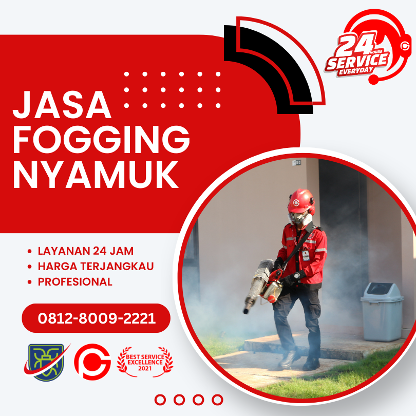Jasa Fogging Nyamuk DBD di Tangerang